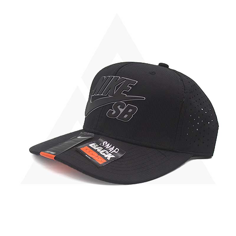 NK SB X Cap - A0303